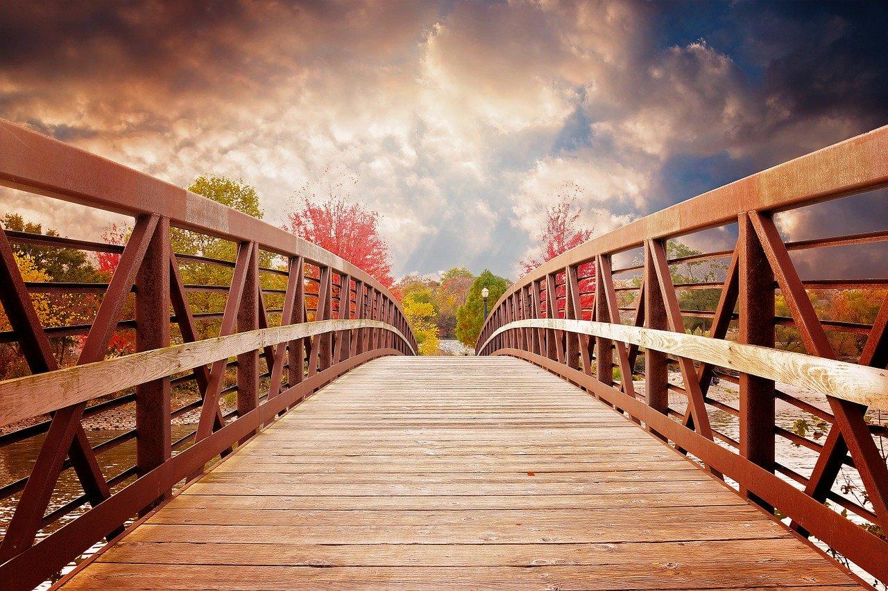 Mind behavior gap