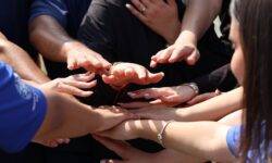 Evolution Beziehungen